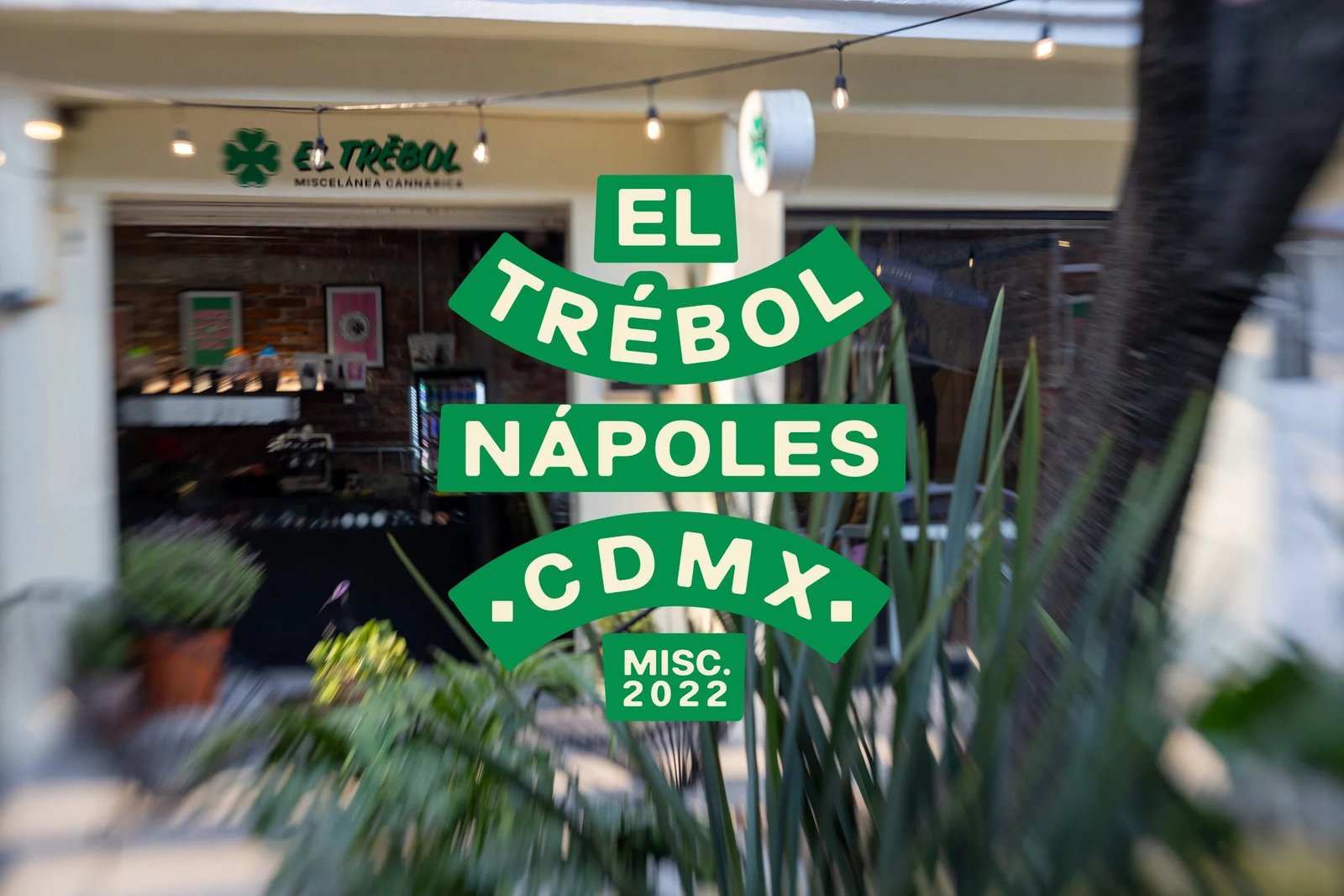 Jeeter HOF basketball